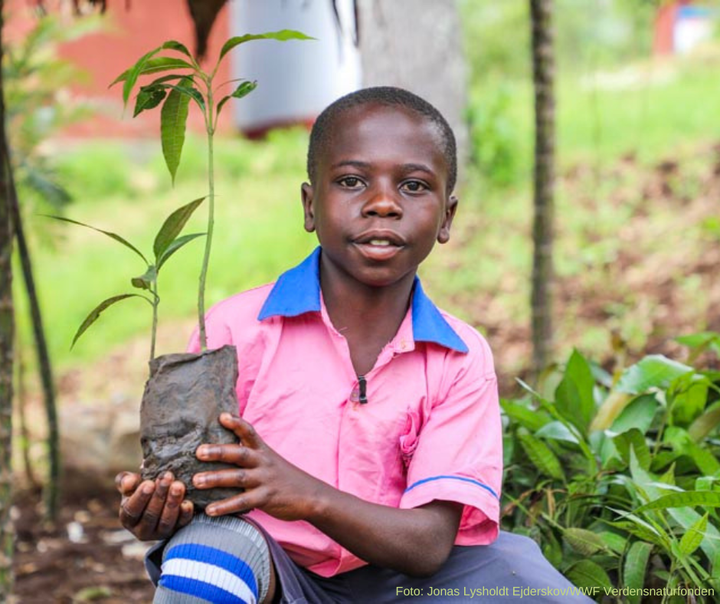 Courage med et træ, der skal plantes på hans skole i Uganda
