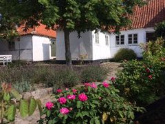 Haven ved Aarestrups Hus. Foto: Aarestrup-foreningen