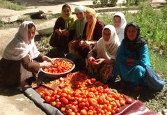 Kvinder i Afghanistan lærer at forsørge sig selv og deres familier ved at dyrke grøntsager og sælge dem på markedet.