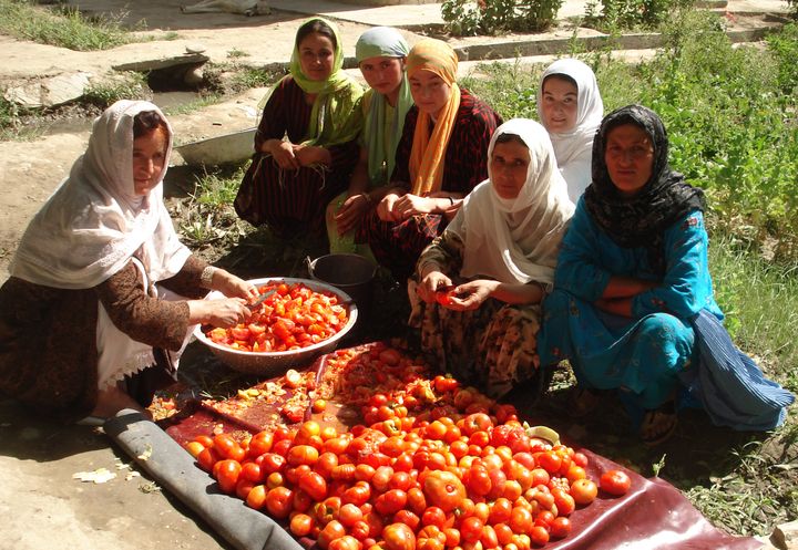 Kvinder i Afghanistan lærer at forsørge sig selv og deres familier ved at dyrke grøntsager og sælge dem på markedet.