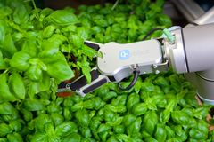 En av Danmarks största producent av kryddor, Rosborgs senaste investeringar inom automation är en flexibel förpackningslinje försedd med en cobot från Universal Robots, monterad med ett gripdon från OnRobot. Gripdonets två ”fingrar” har inbyggd intelligent, avancerad teknik som efterliknar det sätt på vilket vi människor instinktivt använder vår känsel när vi tar tag i något för att flytta det.