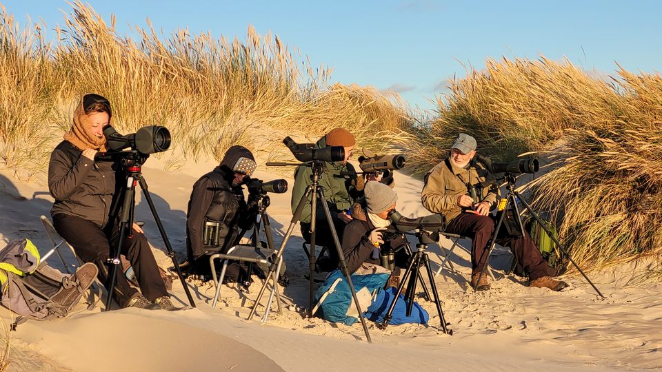 Hele Europa Tæller Fugle: Oplev Tusindvis Af Fugle I Skagen Og Gedser ...