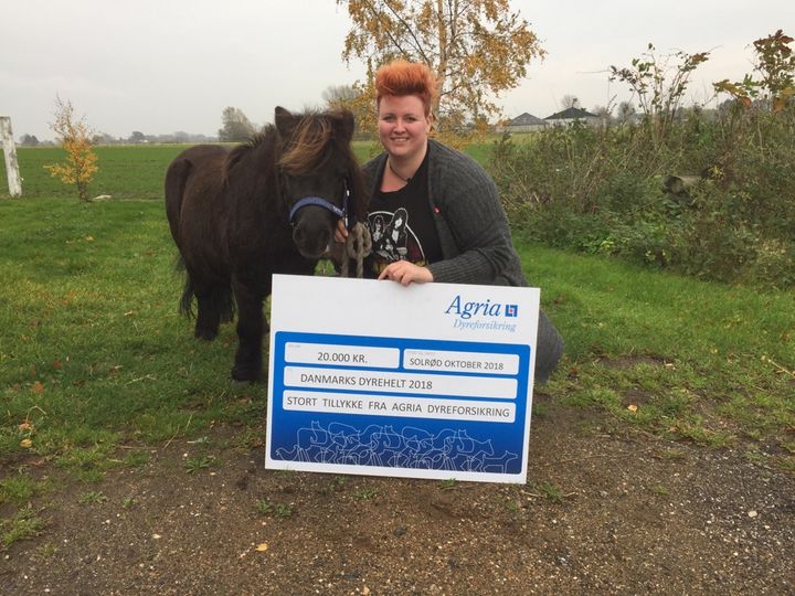 Laban er Danmarks Dyrehelt 2018, og sammen med sin ejer, Katrine, har de modtaget 20.000 kr., som de donerer til Nyt Hesteliv (foto: Agria Dyreforsikring)