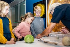 I efterårsferien kan man både få en opskrift på, hvordan man laver en planetsti med alt godt fra køleskabet, og man kan rejse gennem solsystemet på den ny-etablerede planetsti i Universitetsparken. Foto: Kasper Hornbæk