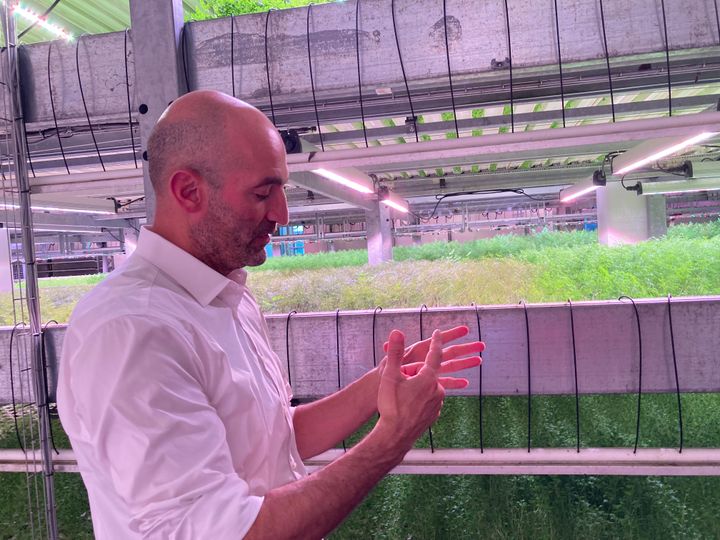 Der er opgaver nok at holde rede på i den grønne omstilling for Ronny Saul, CEO i Jespers Torvekøkken – her fotograferet i virksomhedens krydderurt-gartneri. Foto: Erhvervsstyrelsen