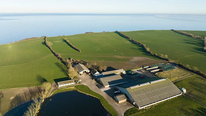 Bjerggaard på øen Barsø ud for Aabenraa leverer ost til En bid af Danmark-serien.