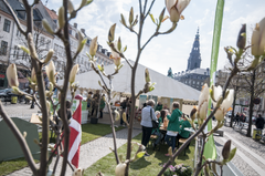 Astma-Allergi Danmarks allergivenlige have til Snot or not kampagnen. Foto: David Askholm, Astma-Allergi Danmark