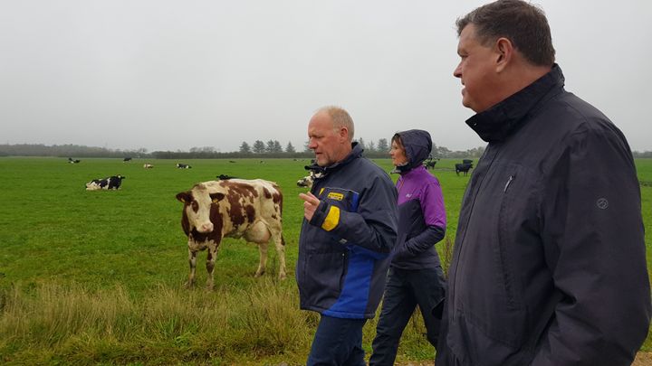 Fødevareminister Mogens Jensen besøgte kvæggården, Kroghsminde for at blive klogere på, hvordan klimahandlingsplaner kan bringe CO2-udledningen i minus. 
Foto: Irene Brandt-Møller.
