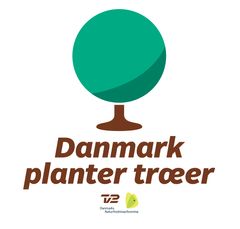 Kender du en Birk, Lærke, Lund eller Elmer? Så kan du plante et gratis træ til gavn for klimaet. Foto: PR.