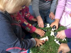 Børnene i Møllebakken har sat køerne på græs. De har selv sået ”marken” med karse, og senere pløjer en mejetærsker det hele ned. Temaet ”Natur” giver mange muligheder for kreative og lærerige lege.
