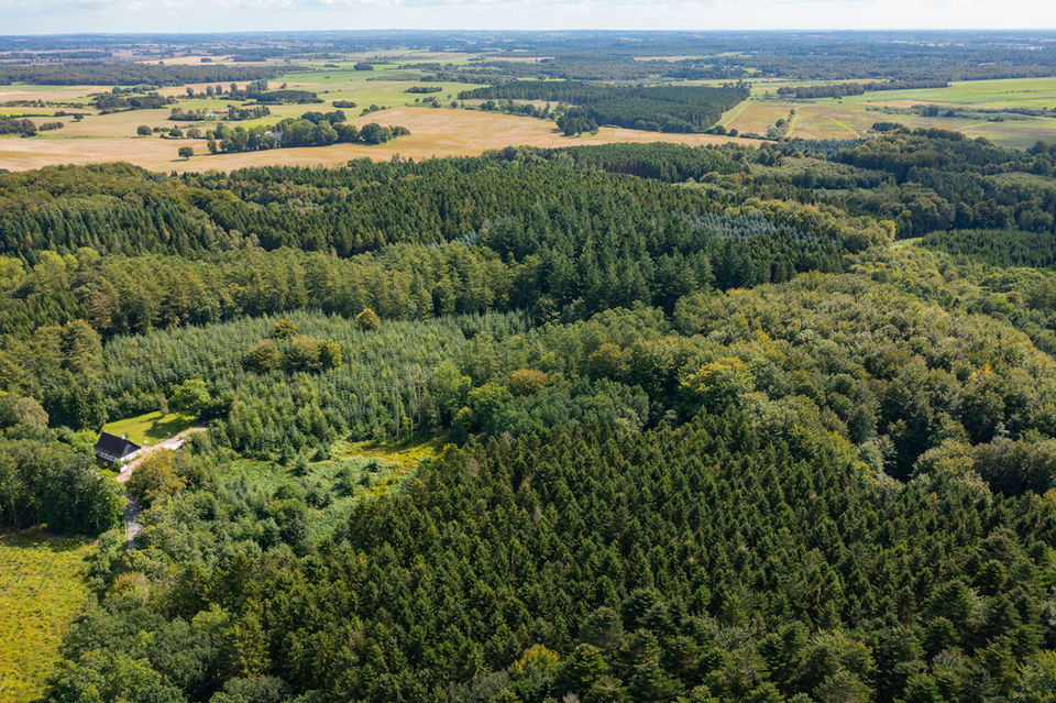 Dronefoto af skov på Vesstsjælland 