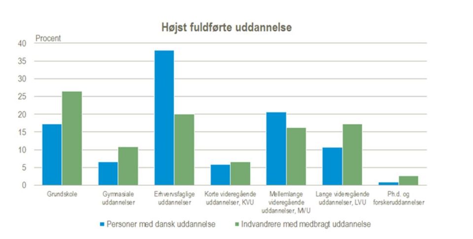 Opdateret Udgave Indvandrere Uden Dansk Uddannelse Har Ofte Videregående Uddannelse I Forvejen 