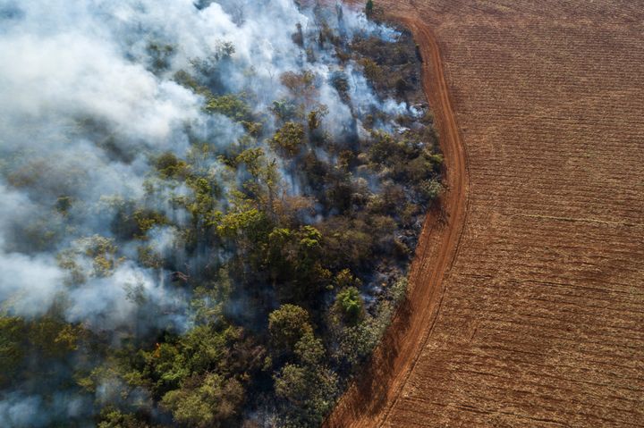 Det enorme forbrug af naturressourcer skyldes blandt andet massiv skovrydning i Amazonas. Foto af: Andre Dib / WWF
