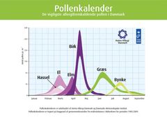 Astma-Allergi Danmark varsler tidlig pollensæson, Foto: Astma-Allergi Danmark