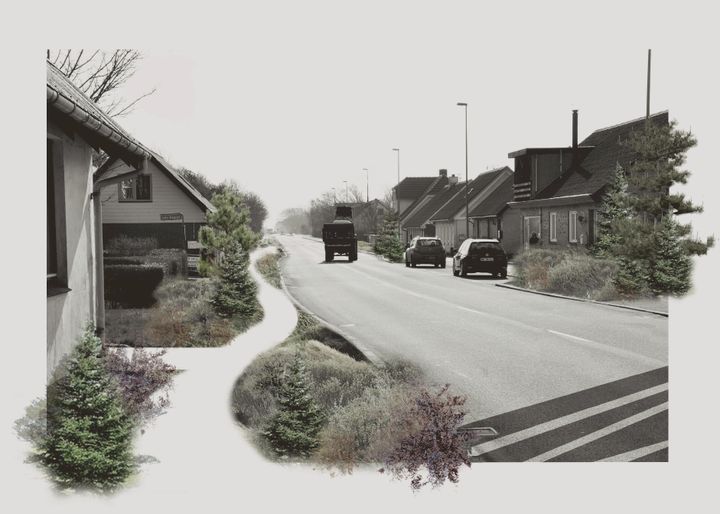 Hjørring Kommune har gjort naturen til katalysator for en positiv udvikling af et lokalområde med projektet 'Løkkensvej- lev godt, lad det gro'.
