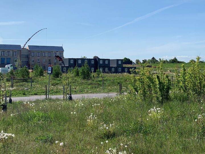 De første beboelsespavilloner i området ved Dam Holme, syd for Egedal By. De i alt 42 boliger skal stå i én etage og gøres klar til at huse nogle af de ukrainske flygtninge, som Egedal Kommune tager imod.