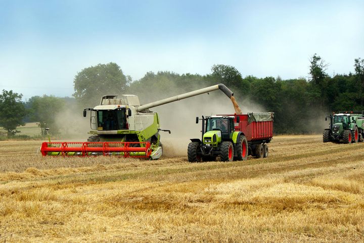Landbruget er blandt de erhverv, der får stor gavn af de gratis data fra DMI. Foto Colourbox