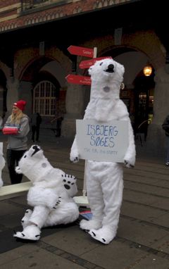Isbjørnene blev hjulpet af frivillige fra WWF, der delte Polar-Tidende ud