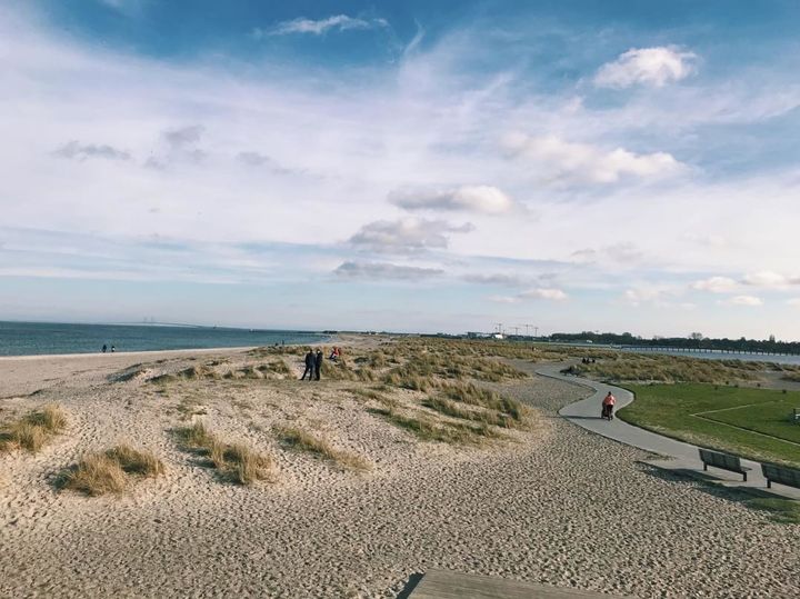 Amager Strandpark i København | ©Ocean Run