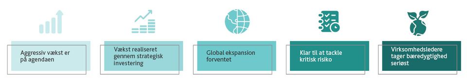 Sådan sikrer europæiske virksomheder sig en lederskabsposition i 2025 - Se BDO's European Survey 