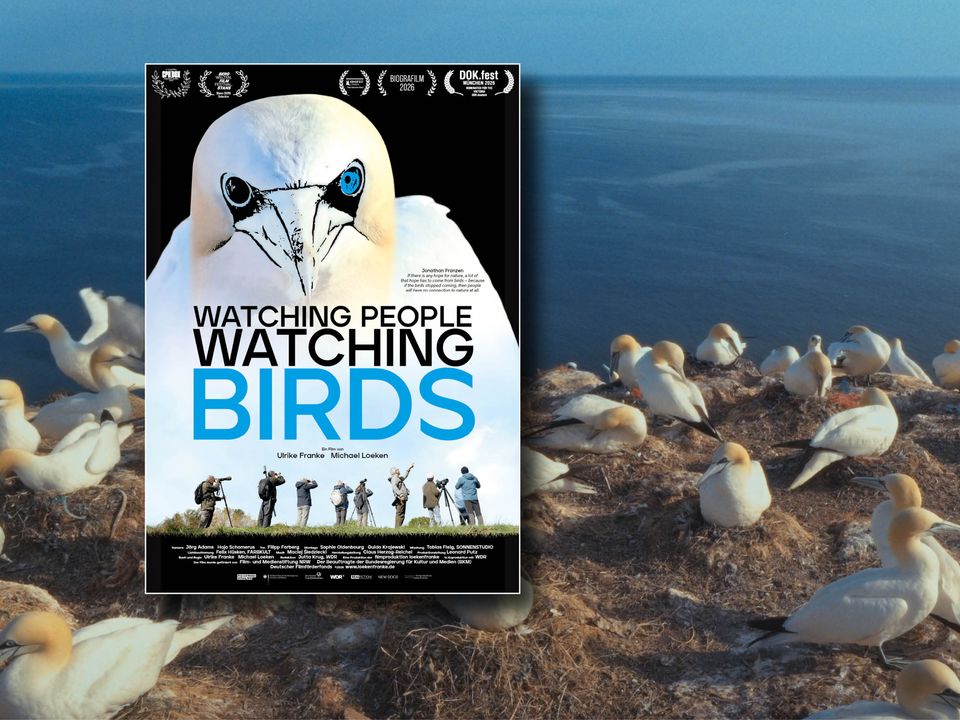 Watching People Watching Birds PM.jpg