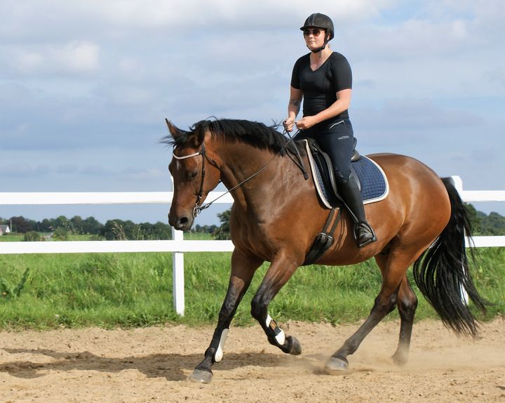 Ifølge ridetræner Stine Joy Langkilde er rytterens kropsholdning noget af det vigtigste i samarbejdet med hesten. Foto: PR.