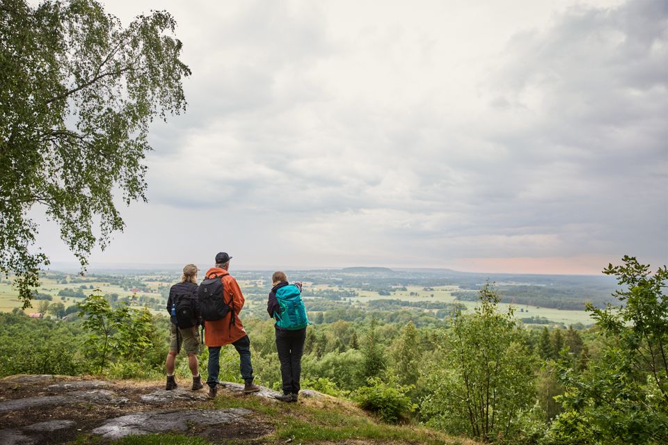 Pilgrimsleden ved Lenaborg. Foto: Jonas Ingman