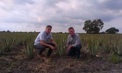 Jesper Hummeluhr i Mexico med Ken Jones fra virksomheden Aloecorp. Flere studier har vist, at aloe vera har en positiv effekt på tarmsystemet. Foto: PR.