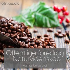 Kaffe spiller en stor rolle i mange menneskers hverdag. Foto: Aarhus Universitet