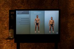 Sammenligning neandertaler og homo sapiens i neandertalerudstilling på Moesgaard Foto Moesgaard Museum