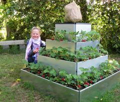 Land Højbede fås i mange former – en pyramide egner sig for eksempel fortrinligt til jordbær. Foto: PR.