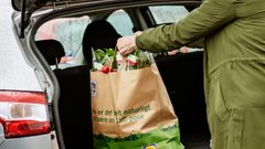 I stedet for engangsplastikposer har Lidl-kunder siden 2017 kunne købe en FSC-certificeret papirspose. Salget af disse er dog også aftaget markant til fordel for medbragte poser over de seneste år.
