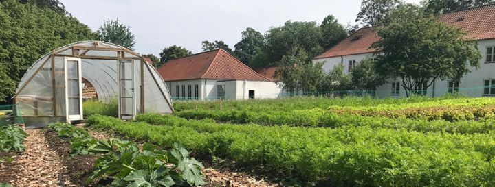 En kæmpestor køkkenhave har bidraget til lavere råvareforbrug og mindre biologisk affald på konferencecentret Schæffergården i Gentofte.
Foto: Hotel Schæffergården