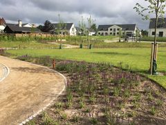 Sidste års vinder af Ishøjs Arkitekturpris. Landskabsprojektet i Ishøj Landsby med nyt gadekær og boligbebyggelse.