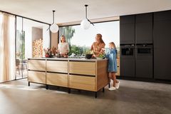 Det nye køkken fra HTH, Nordic Creation, kombinerer klassisk snedkerhåndværk og massivt egetræ. Foto: PR.