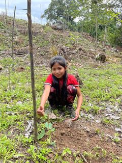 Nunkui hjælper med at plante balsatræer med hendes forældre