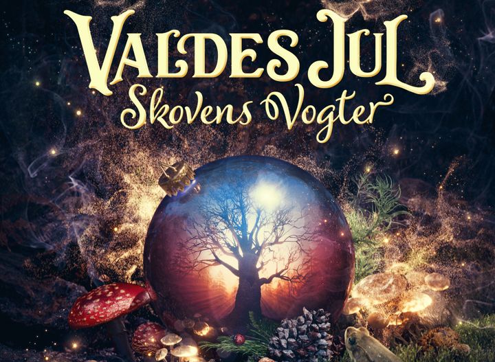 'Valdes Jul' er TV 2s nye familiejulekalender i 2023. Foto: TV 2.