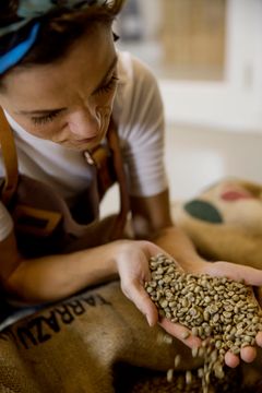 Intet overlades til tilfældighederne, når den perfekte kop kaffe skal serveres fra Holy Bean. Bønnerne kommer fra farmere spredt ud over 9 forskellige lande, herunder Brasilien, Columbia, Indonesien og Etiopien. Foto: Holy Bean