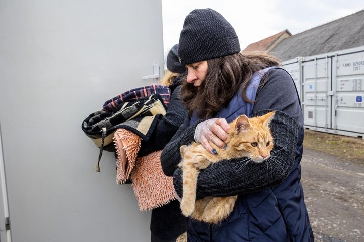 En kat fra Ukraine er ankommet til modtagecenteret i Medyka. Foto: Kristian Brasen