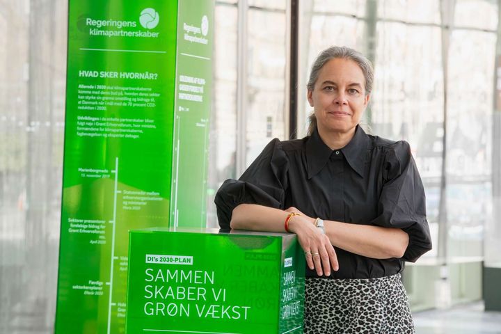 Anne Højer Simonsen, vicedirektør i DI