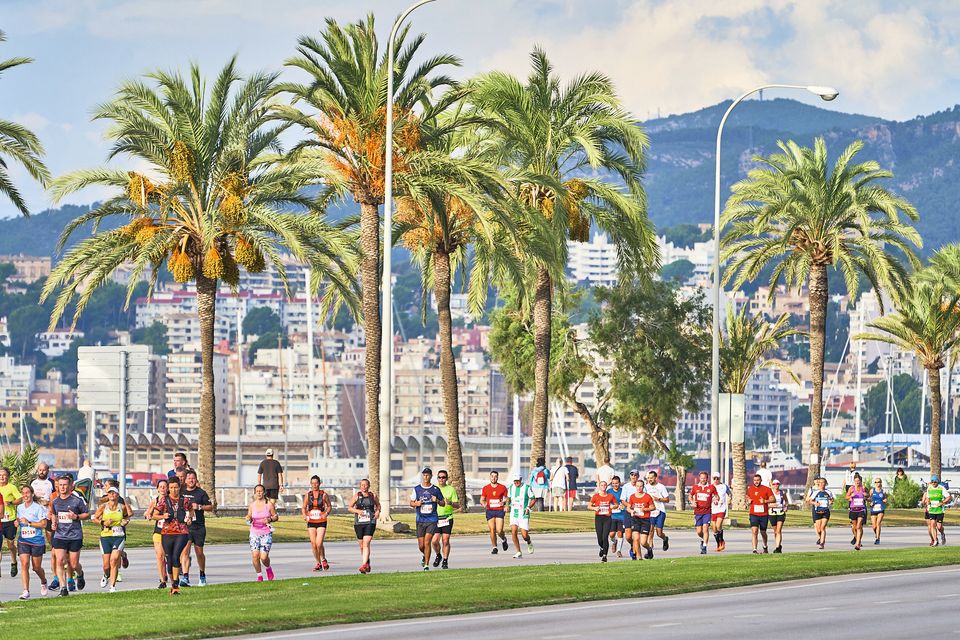 TUI Palma Marathon