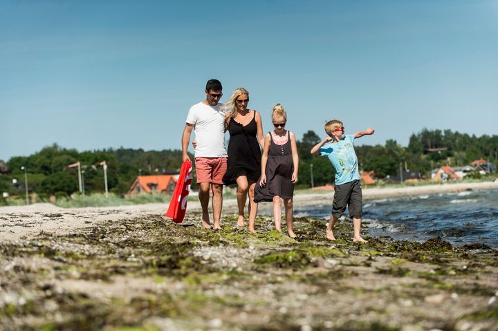Danske sommerhuse er populære - også blandt udenlandske købere. Foto: Palle Skov