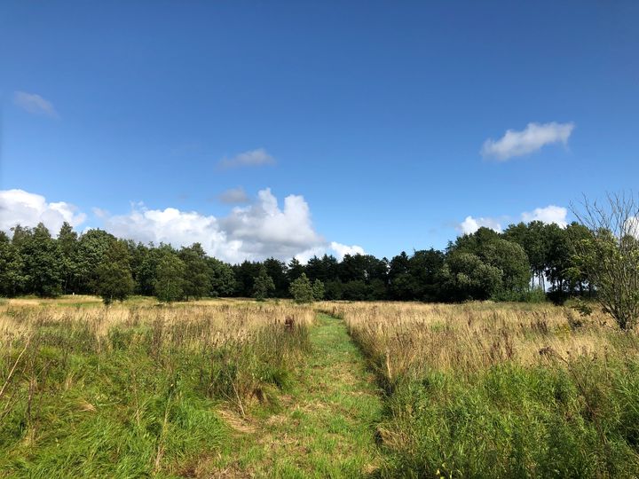 Stien giver en anderledes vinkel på Skulpturparken og Billund Bæk. Foto: Billund Kommune