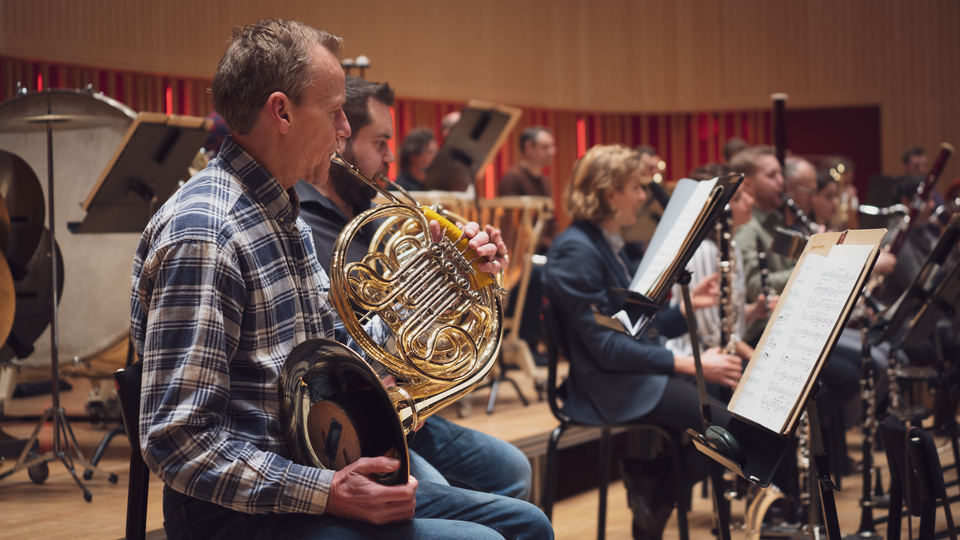 Aarhus Symfoniorkester - musikernærbillede (horn)