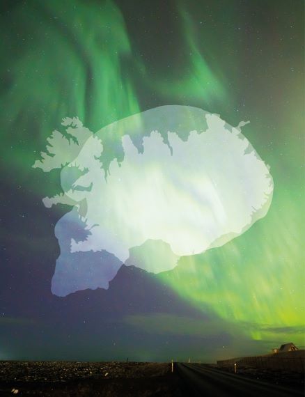 Islændinges DNA giver ny indsigt i uddøde menneskearter. Grafik: Astrid Reitzel, AU