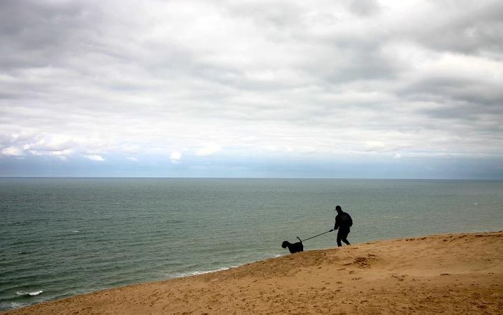 Tegnsætning På jorden obligatorisk Hunde på stranden: Hvor må de være hvornår, og skal de være i snor? |  Halsnæs Kommune