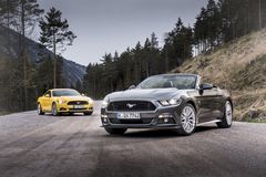 Mustang Fastback & Convertible