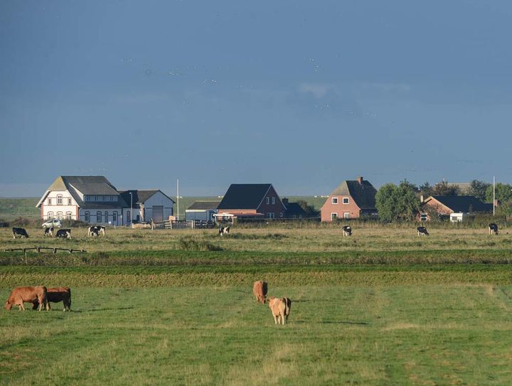 Foto: David Buchmann
