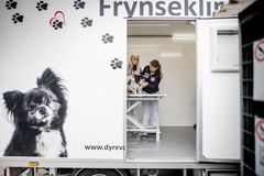 Frynseklinikken har hjulpet 753 dyr på 100 dage. Foto:  Dyreværnet/Anthon Unger