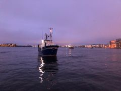 En række fartøjer var sejlet til medlemsmødet og lagde til kaj i Aalborg. Foto: Helle Kristensen